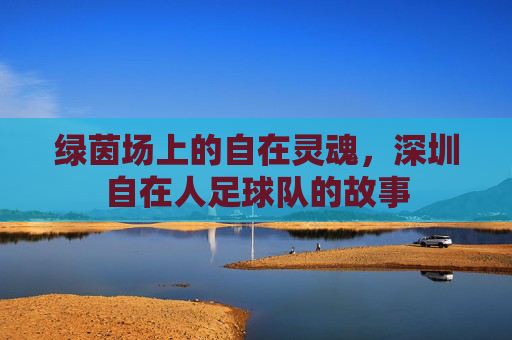 绿茵场上的自在灵魂,深圳自在人足球队的故事