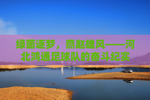 绿茵逐梦，燕赵雄风——河北鸿通足球队的奋斗纪实