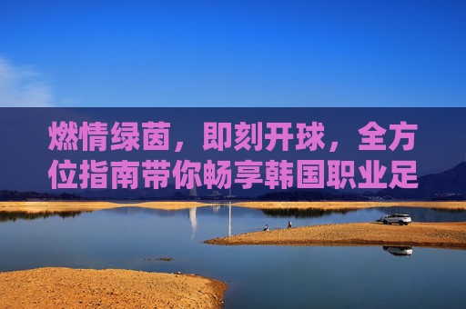 燃情绿茵,即刻开球,全方位指南带你畅享韩国职业足球联赛直播
