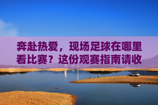 奔赴热爱,现场足球在哪里看比赛?这份观赛指南请收好