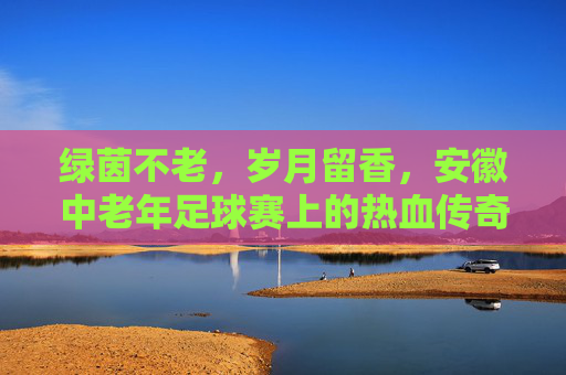 绿茵不老，岁月留香，安徽中老年足球赛上的热血传奇