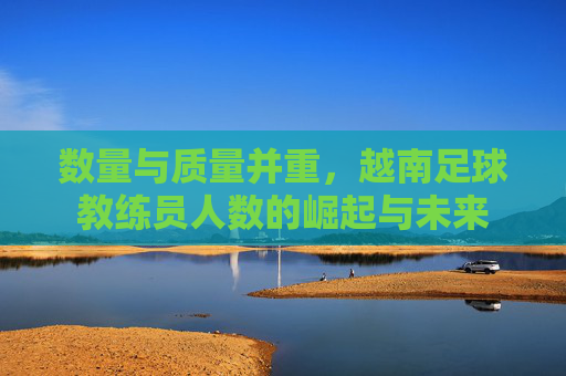 数量与质量并重,越南足球教练员人数的崛起与未来