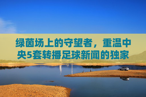 绿茵场上的守望者,重温中央5套转播足球新闻的独家记忆