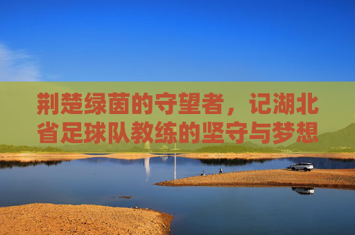 荆楚绿茵的守望者,记湖北省足球队教练的坚守与梦想