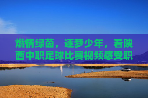 燃情绿茵,逐梦少年,看陕西中职足球比赛视频感受职教风采