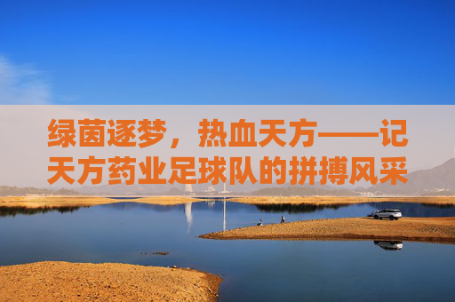 绿茵逐梦,热血天方——记天方药业足球队的拼搏风采