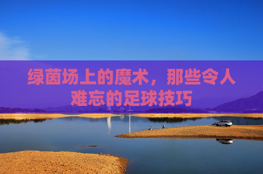 绿茵场上的魔术,那些令人难忘的足球技巧