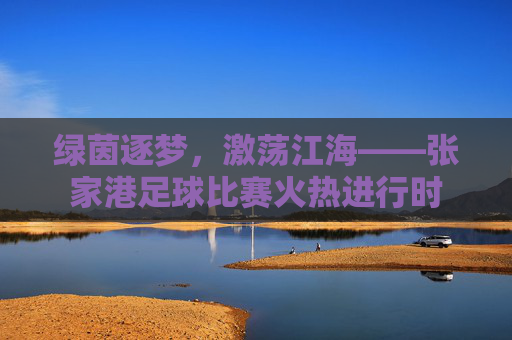 绿茵逐梦,激荡江海——张家港足球比赛火热进行时