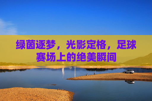 绿茵逐梦,光影定格,足球赛场上的绝美瞬间