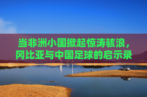 当非洲小国掀起惊涛骇浪,冈比亚与中国足球的启示录