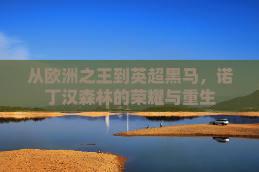 从欧洲之王到英超黑马，诺丁汉森林的荣耀与重生