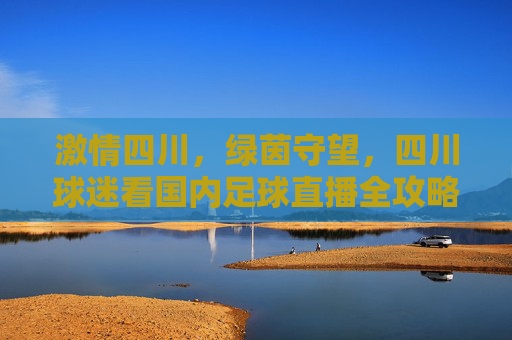 激情四川，绿茵守望，四川球迷看国内足球直播全攻略