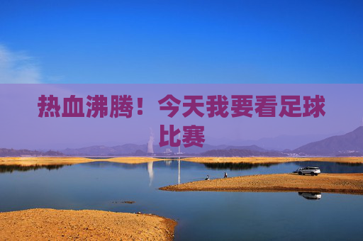 热血沸腾!今天我要看足球比赛
