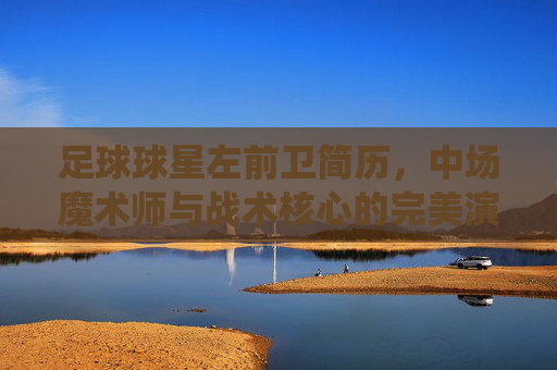 足球球星左前卫简历,中场魔术师与战术核心的完美演绎