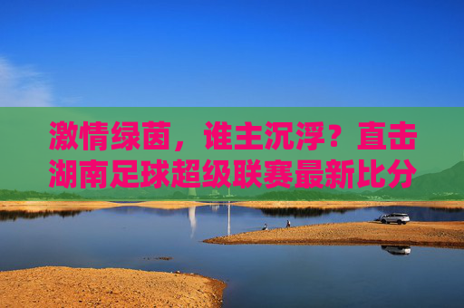激情绿茵,谁主沉浮?直击湖南足球超级联赛最新比分