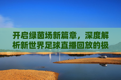 开启绿茵场新篇章，深度解析新世界足球直播回放的极致体验