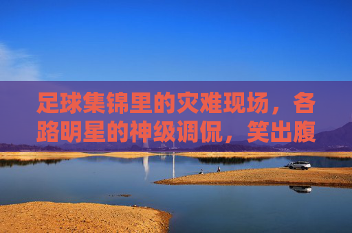 足球集锦里的灾难现场,各路明星的神级调侃,笑出腹肌!