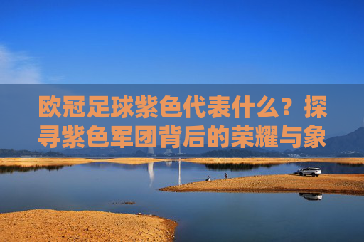 欧冠足球紫色代表什么?探寻紫色军团背后的荣耀与象征