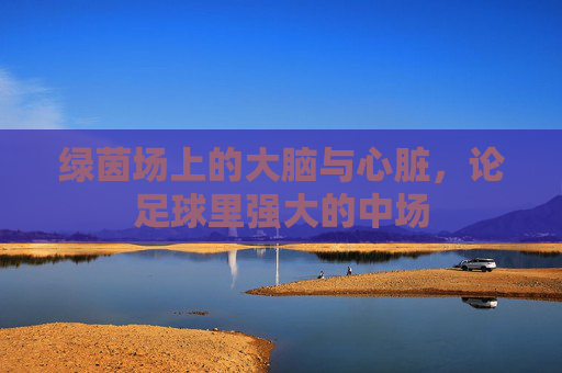 绿茵场上的大脑与心脏，论足球里强大的中场