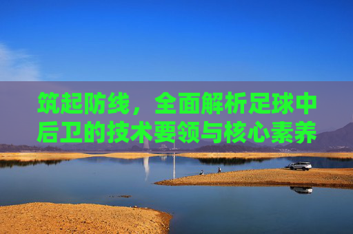 筑起防线,全面解析足球中后卫的技术要领与核心素养
