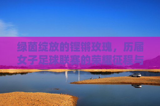 绿茵绽放的铿锵玫瑰,历届女子足球联赛的荣耀征程与时代回响