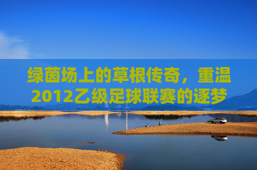 绿茵场上的草根传奇，重温2012乙级足球联赛的逐梦岁月