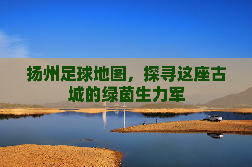 扬州足球地图，探寻这座古城的绿茵生力军