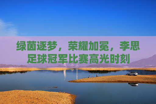 绿茵逐梦，荣耀加冕，李思足球冠军比赛高光时刻