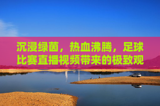 沉浸绿茵，热血沸腾，足球比赛直播视频带来的极致观赛体验