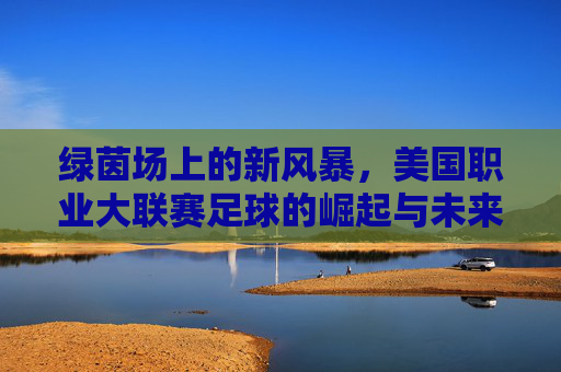 绿茵场上的新风暴，美国职业大联赛足球的崛起与未来