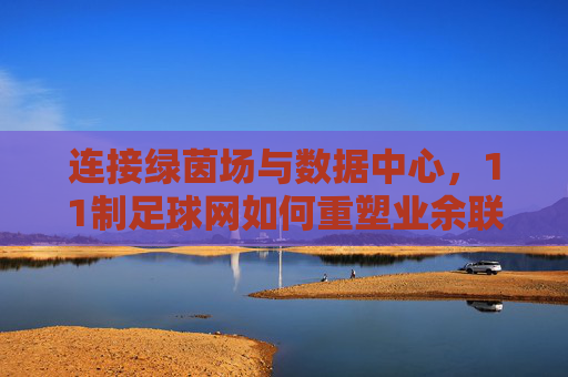 连接绿茵场与数据中心，11制足球网如何重塑业余联赛体验
