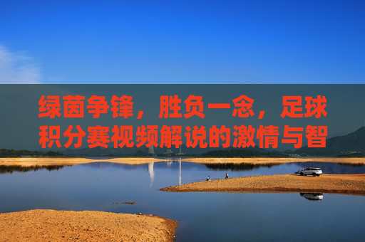 绿茵争锋，胜负一念，足球积分赛视频解说的激情与智慧