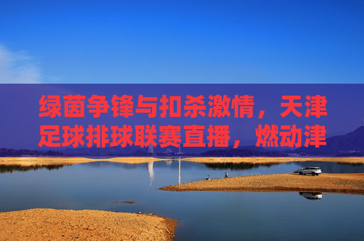 绿茵争锋与扣杀激情，天津足球排球联赛直播，燃动津门！