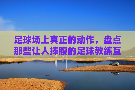 足球场上真正的动作，盘点那些让人捧腹的足球教练互相吵架视频