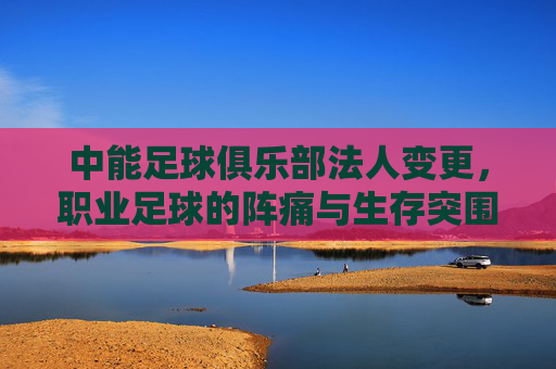 中能足球俱乐部法人变更，职业足球的阵痛与生存突围