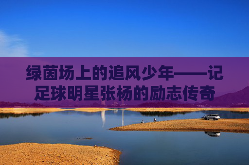 绿茵场上的追风少年——记足球明星张杨的励志传奇