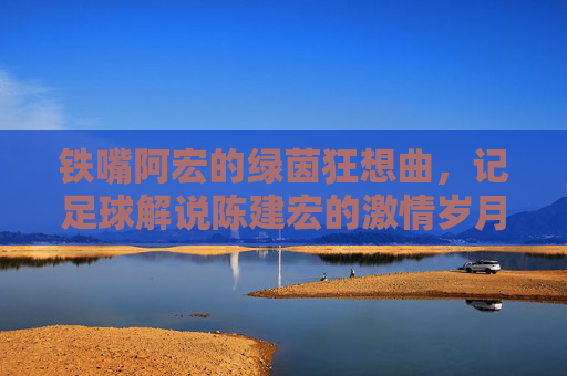 铁嘴阿宏的绿茵狂想曲,记足球解说陈建宏的激情岁月