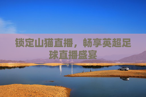 锁定山猫直播,畅享英超足球直播盛宴