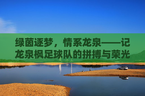 绿茵逐梦，情系龙泉——记龙泉枫足球队的拼搏与荣光