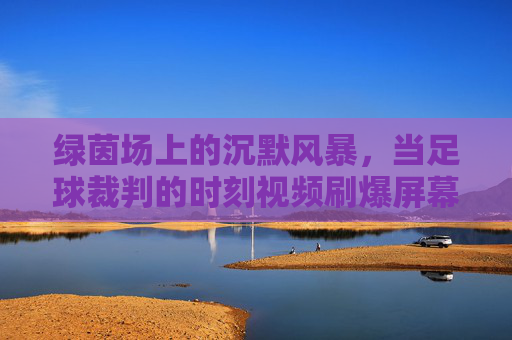 绿茵场上的沉默风暴，当足球裁判的时刻视频刷爆屏幕