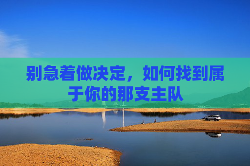 别急着做决定,如何找到属于你的那支主队