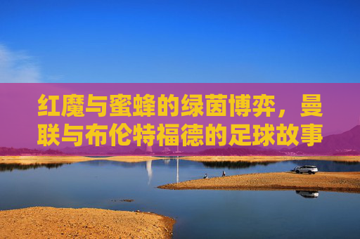 红魔与蜜蜂的绿茵博弈，曼联与布伦特福德的足球故事