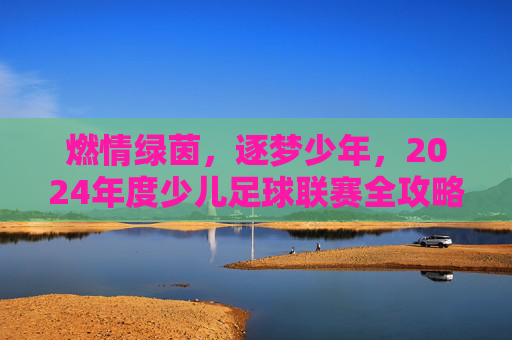燃情绿茵,逐梦少年,2024年度少儿足球联赛全攻略
