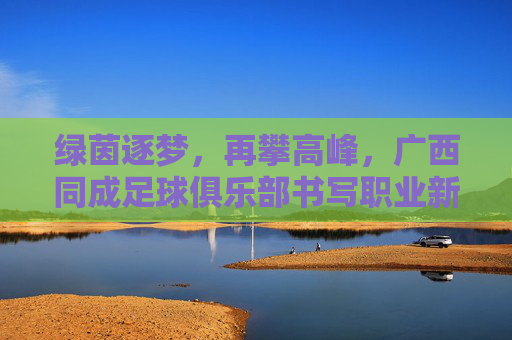 绿茵逐梦，再攀高峰，广西同成足球俱乐部书写职业新篇章