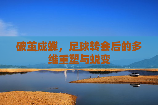 破茧成蝶，足球转会后的多维重塑与蜕变