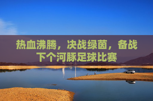 热血沸腾，决战绿茵，备战下个河豚足球比赛
