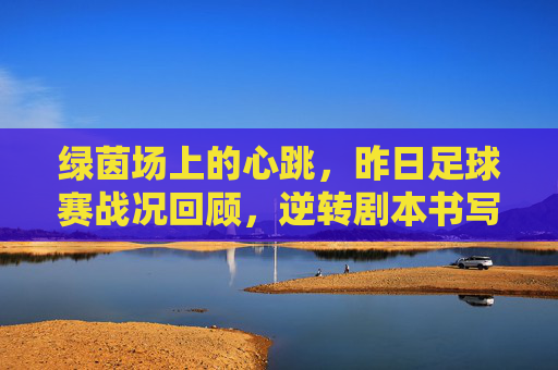 绿茵场上的心跳，昨日足球赛战况回顾，逆转剧本书写传奇