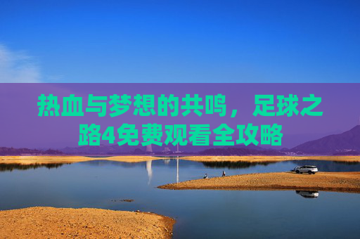 热血与梦想的共鸣，足球之路4免费观看全攻略