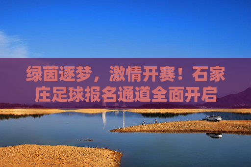 绿茵逐梦，激情开赛！石家庄足球报名通道全面开启