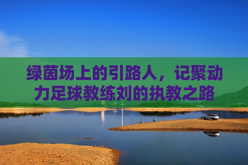 绿茵场上的引路人，记聚动力足球教练刘的执教之路